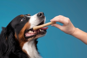 Dog Treats Dog Treats